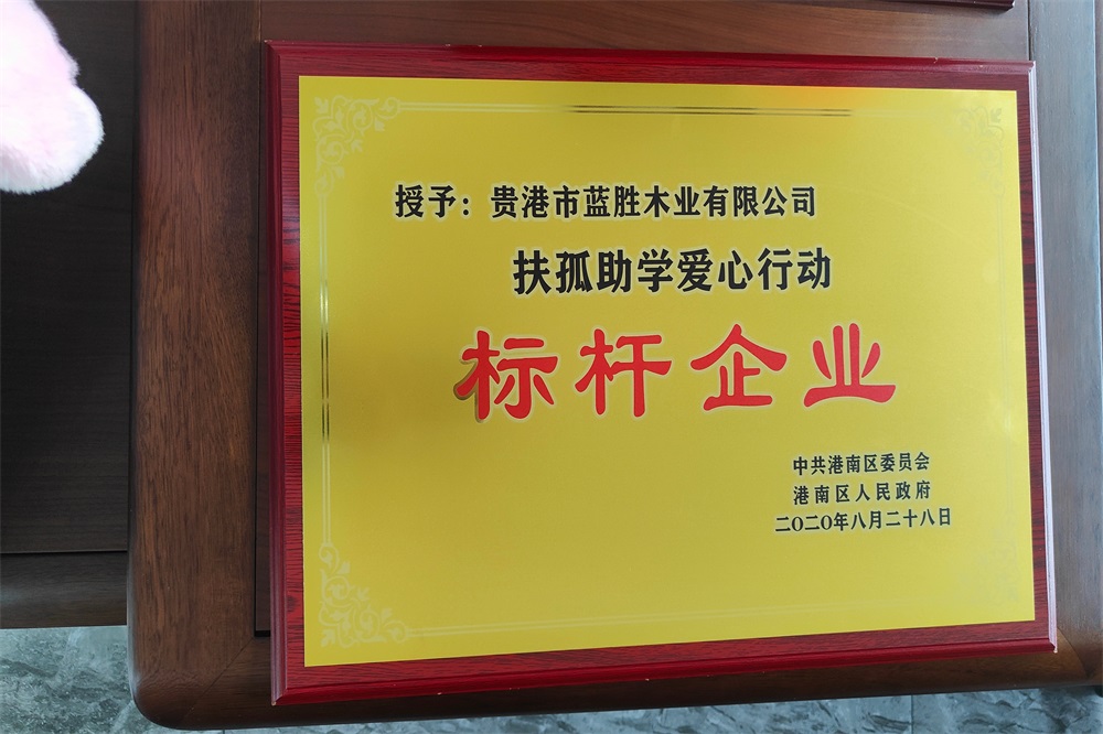 2020扶孤助學標桿企業